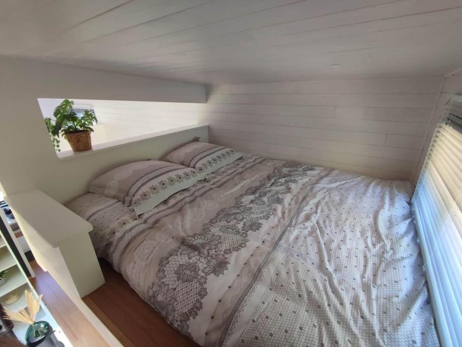 Vila Tiny House Chez Caroline Gaillan-en-Médoc Exteriér fotografie